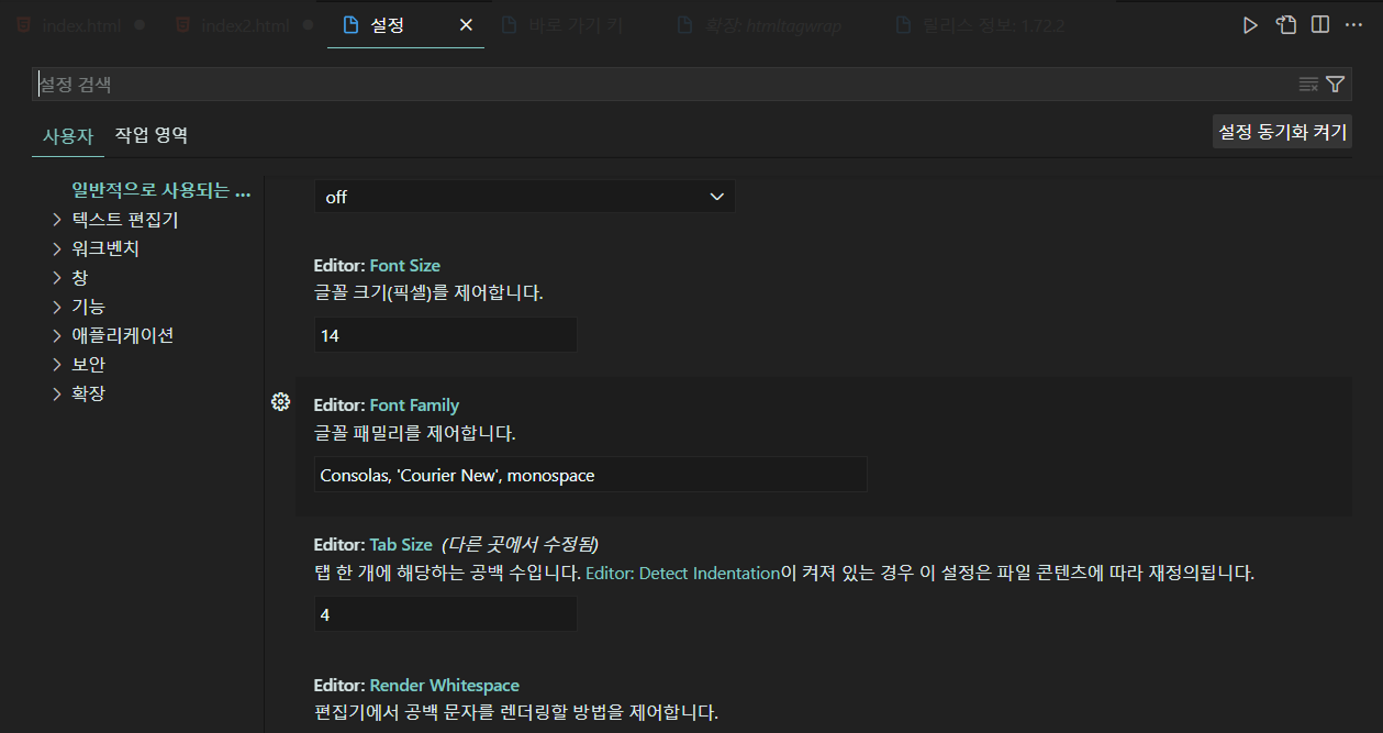 VSCode 설정 화면
